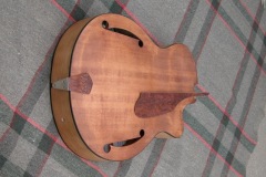 c269_stain2